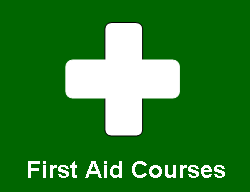 Medisafe Training Appointed Person course